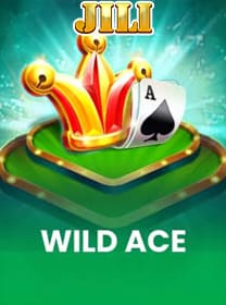 Wild Ace Game: Cara Akses dan Bermain dengan Aman banner